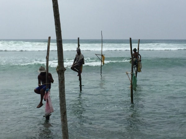 Stilt Fishermen