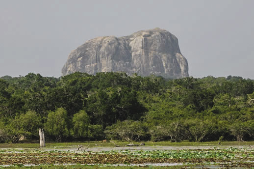 The Elephant Rock, Yala